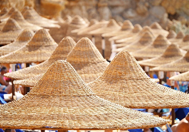 Beach Umbrellas