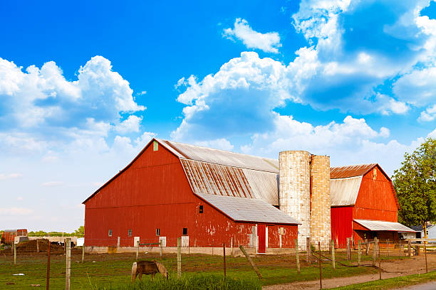 istock American Farmland With Blue Cloudy Sky 177839380