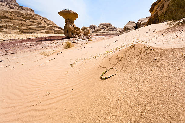 istock Mushroom rock and arabic bead in dessert 177840451