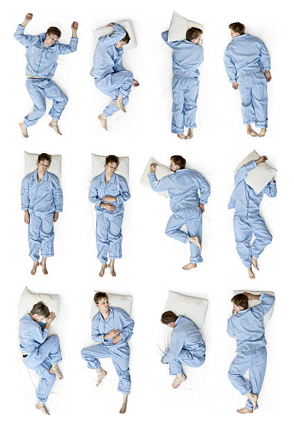 Sleeping positions Sleeping positions seen from top isolated on a white background position stock pictures, royalty-free photos & images