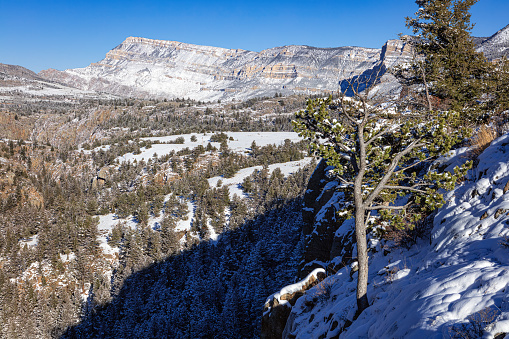 Snow-covered landscape of the Rocky Mountains in northwest Wyoming Shoshone National Forest.