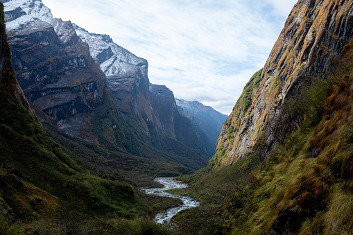 Rice flowing from the mountain.