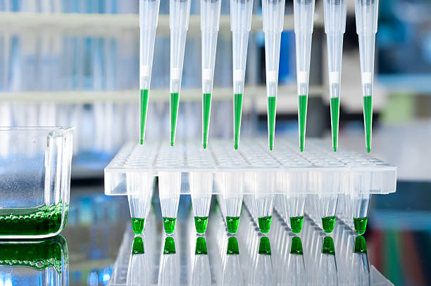 carregado multipipette sobre um prato para análise de adn - high throughput - fotografias e filmes do acervo