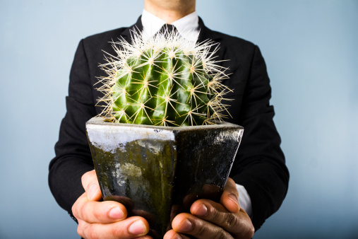 Man in a black suit holding a cactus as if he's offering it to you