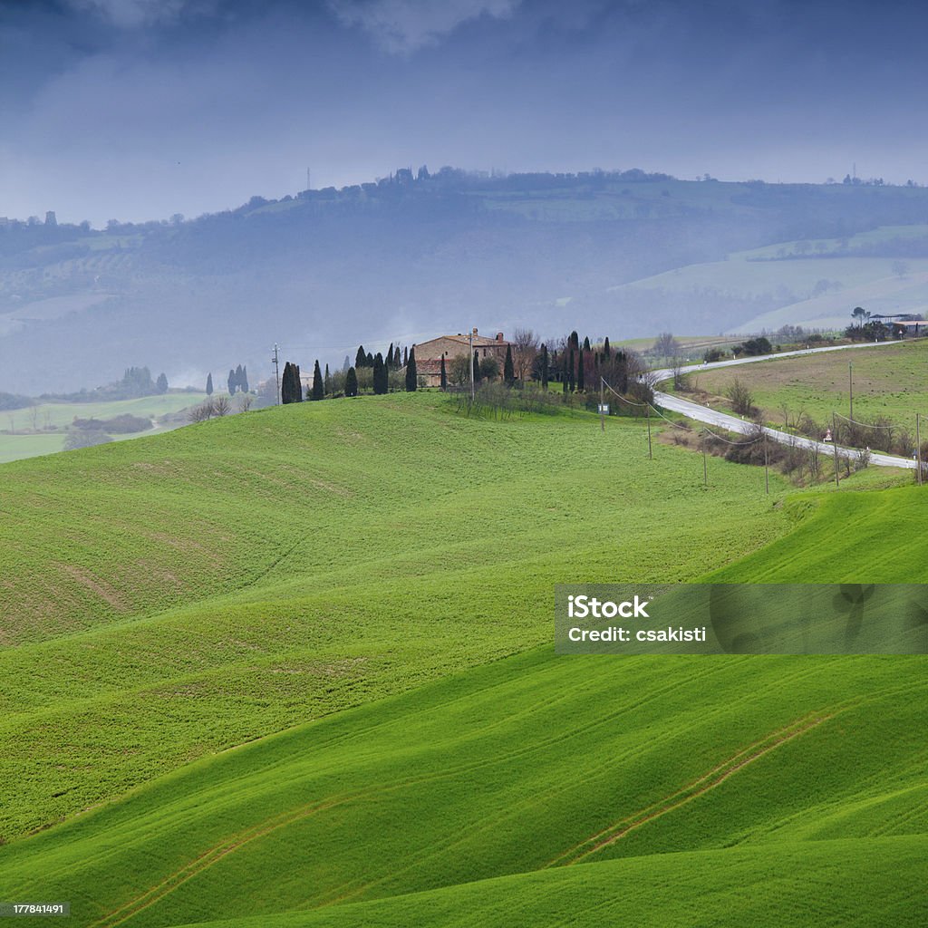 Toscana - Foto stock royalty-free di Agricoltura