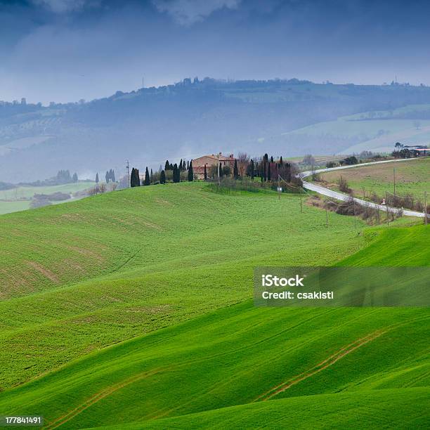 Toscana - Fotografie stock e altre immagini di Agricoltura - Agricoltura, Albero, Ambientazione esterna