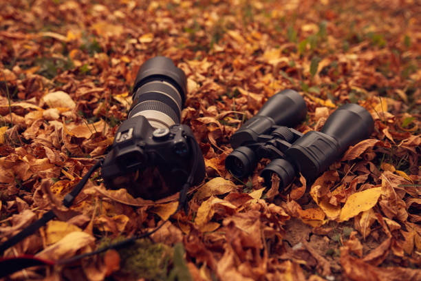istock Binoculars and camera for bird and animal watching in nature. 1778419426