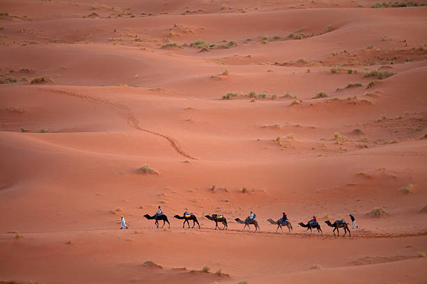 istock Caravan in Sahara desert Morocco 177842119