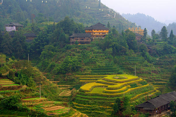 Guilin Rice Terraces stock photo