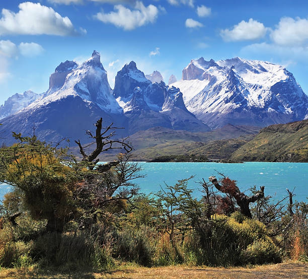 istock Strong wind blows turquoise waves on the lake 177843126