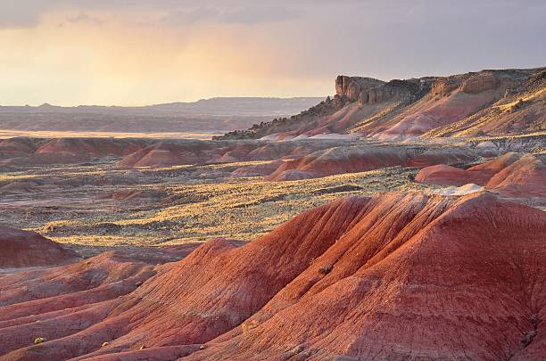 夕暮れのペインティッドデザート国立公園 - petrified forest national park ストックフォトと画像