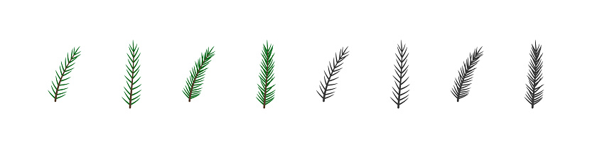 Fir branch vector flat set. Christmas decoration. Pine tree decorative twig collection.