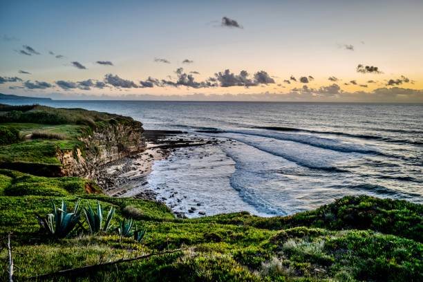 plaża i wybrzeże w ericeira portugal - ericeira zdjęcia i obrazy z banku zdjęć