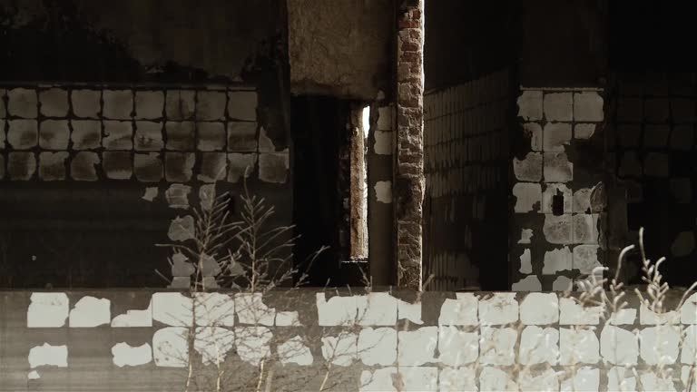 A Destroyed House in the Ghost Town called "Villa Epecuen", Buenos Aires Province, Argentina.