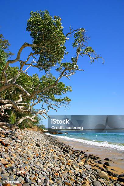 Foto de Sunshine Coast Austrália e mais fotos de stock de Areia - Areia, Austrália, Azul