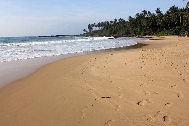 istock Sri Lanka: Early morning on Tangalla Beach 177845626