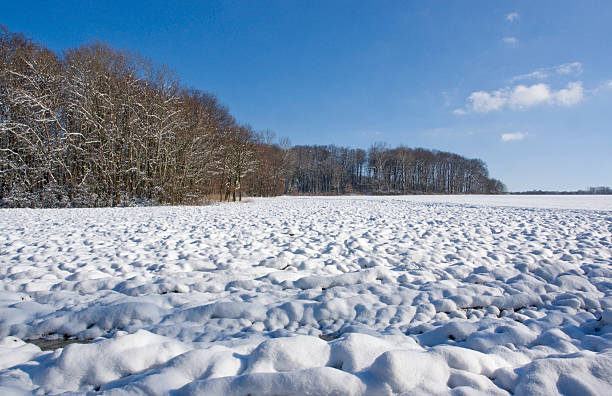 istock Hohenlohe at winter time 177845679