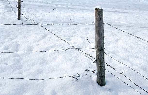 istock snowbound barbed wire fence 177845688