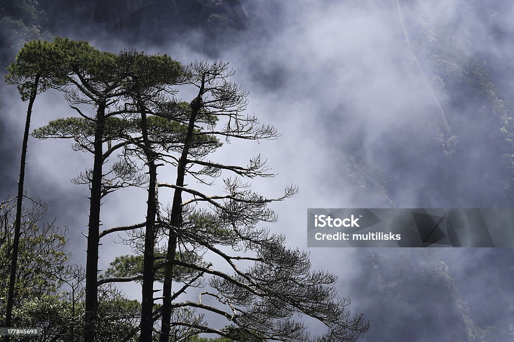 Panorama de las montañas - Foto de stock de Aire libre libre de derechos