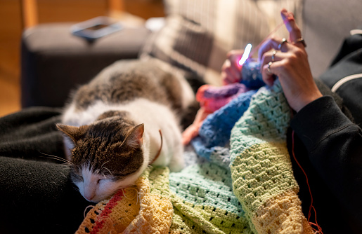 A Caucasian woman is crocheting a colorful blanket while her cat sleeps in her lap