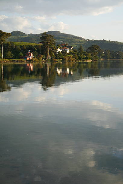 The estuary stock photo