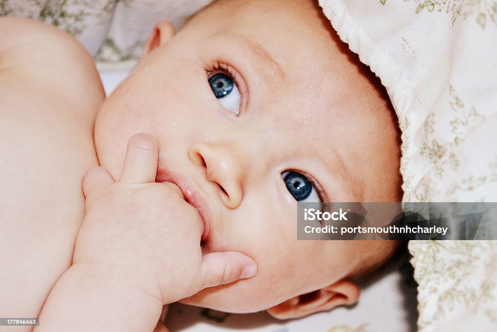 Blue eyed baby sucking on two fingers 4 month old baby sucking on two fingers. Baby - Human Age Stock Photo