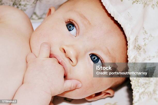 Blue Eyed Baby Sucking On Two Fingers Stock Photo - Download Image Now - Baby - Human Age, Teething Toy, 2-5 Months