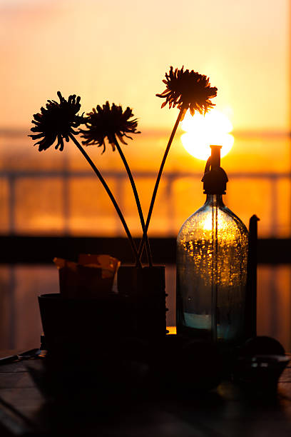 three flowers and a bottle at sunset stock photo