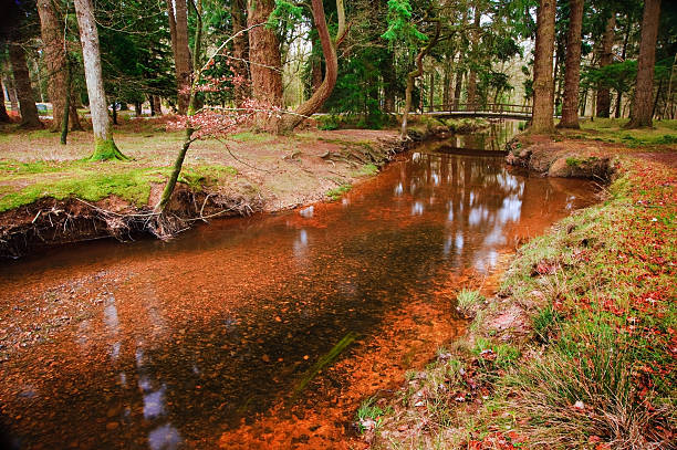 Winter Autumn Fall forest scene with bridge over reflective stream