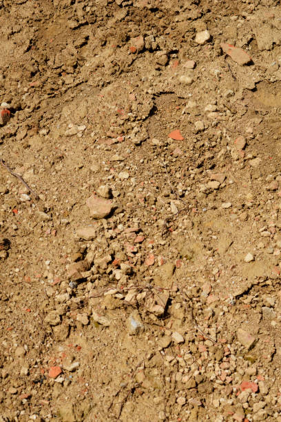 istock Pile of earth 1778470461