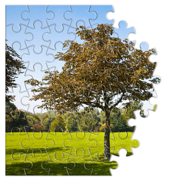 istock Isolated tree in a green meadow - environmental conservation concept image in jigsaw puzzle shape - image with copy space 1778470993