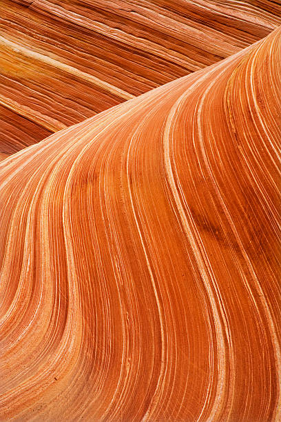 istock The Wave, Coyote Buttes North, Arizona 177847304