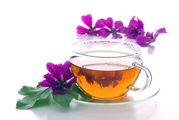 tea malva herbal tea from malva plant malva stock pictures, royalty-free photos & images