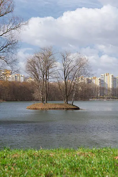 on the shore of a beautiful lake with trees