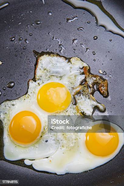 ウズラの卵 - たんぱく質のストックフォトや画像を多数ご用意 - たんぱく質, ウズラの卵, ウズラ類