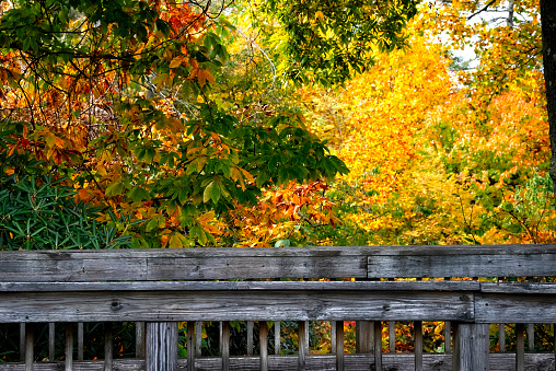 Old wooden footbridge crossing small creek with beautiful Autumn colors on the landscape in North Carolina