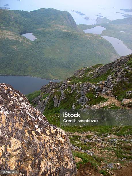 Paesaggio Delle Lofoten - Fotografie stock e altre immagini di Acqua - Acqua, Ambientazione esterna, Ambiente