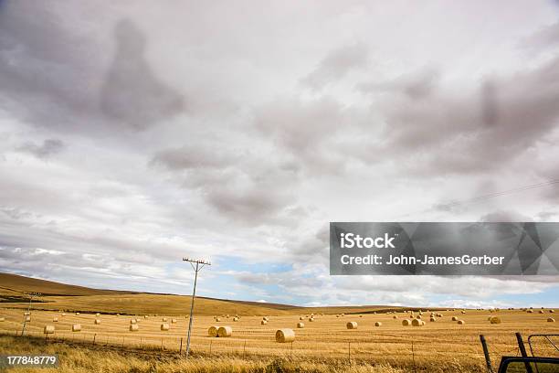 Settore Agricolo - Fotografie stock e altre immagini di Agricoltura - Agricoltura, Ambientazione esterna, Autunno