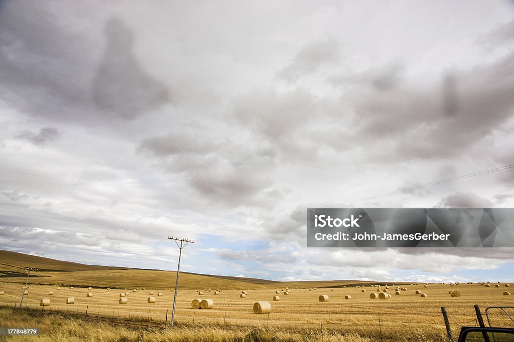 Сельскохозяйственное поле - Стоковые фото Без людей роялти-фри