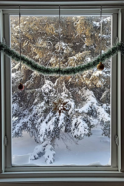istock The Look of Winter 1778497147