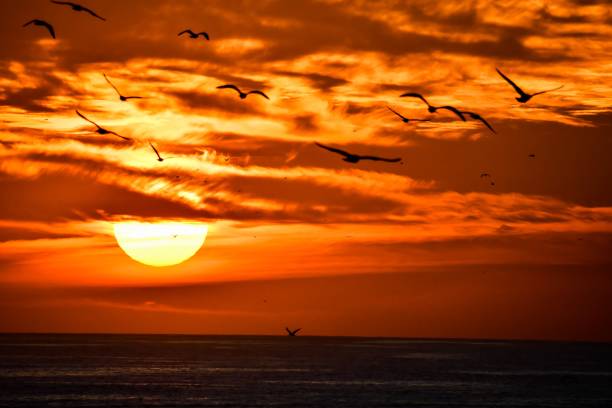 istock sunset at the sea, photo as background 1778497192