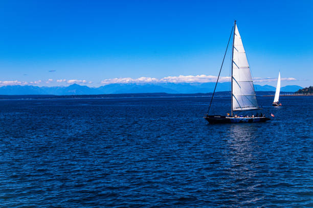 sailboat on puget sound