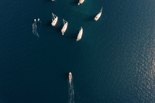 Motor boat sails across the sea towards a sailing regatta. Top view. High quality photo