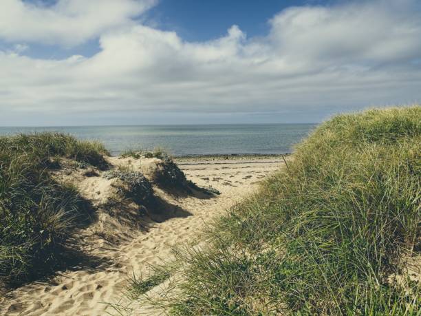 Footpath through the sand dunes to Cape Cod bay near Wellfleet. Cloudscape over calm ocean of this Cape Cod national seashore beach.