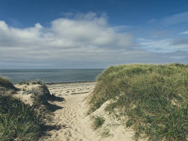 sentier pédestre à travers les dunes de sable jusqu’à la baie de cape cod près de wellfleet - cape cod bay photos et images de collection