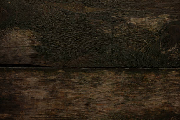 Dark wood board with textured wet effect, background texture for design