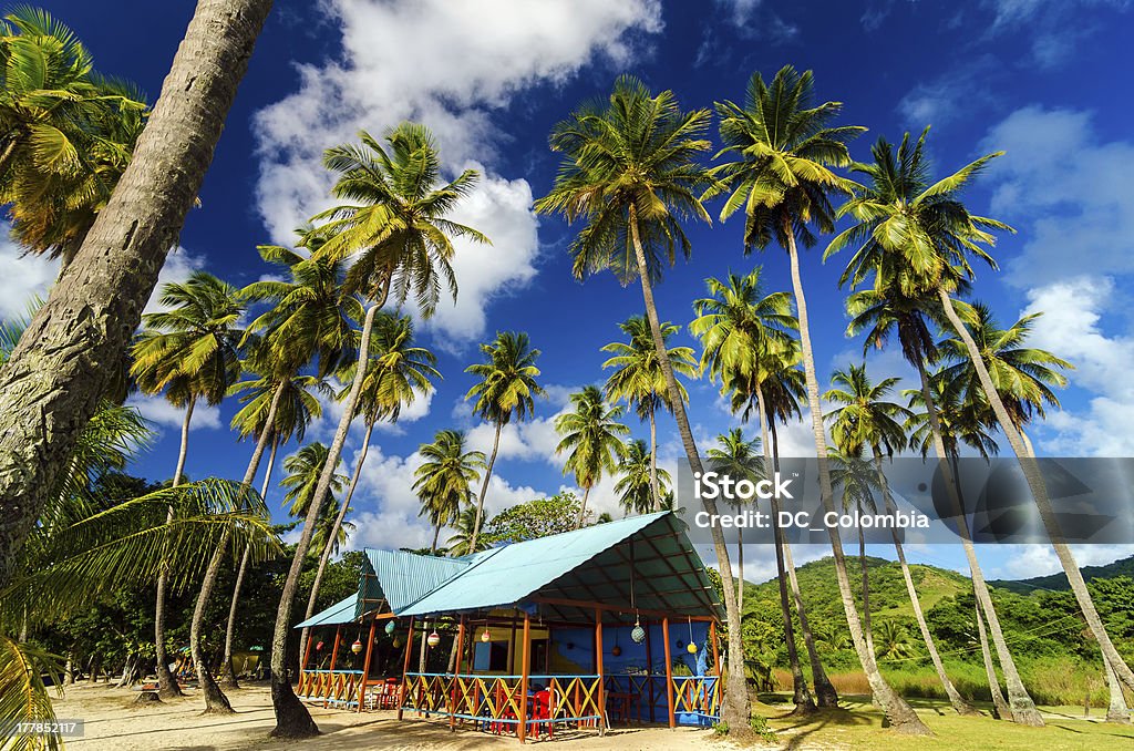 Palm Trees and Colorful Building A colorful restaurant on a beach surrounded by palm trees on a Caribbean island Colombia Stock Photo