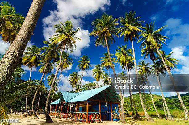 Palm Trees And Colorful Building Stock Photo - Download Image Now - Colombia, San Andrés Island - Colombia, Providencia Island