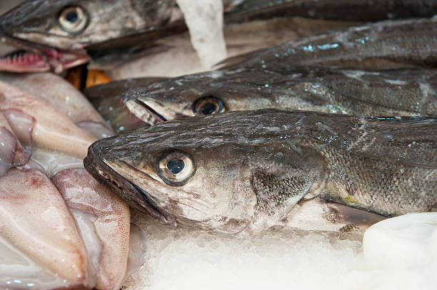 istock fresh hake at a fish market 177854089