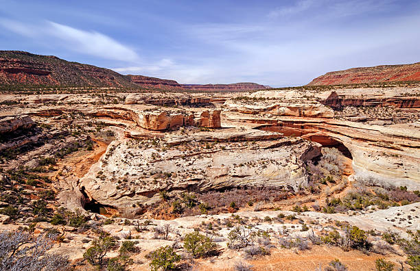 canyon e red rocks no deserto - red rocks rock canyon escarpment imagens e fotografias de stock